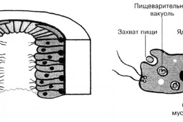 Блэк спрут регистрация