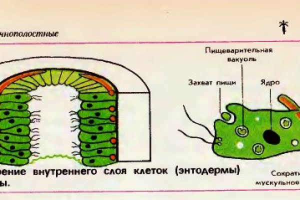 Https blacksprut net