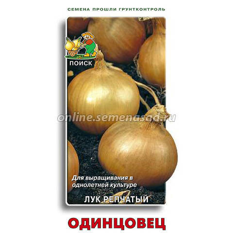 Зеркало тор bs onion info